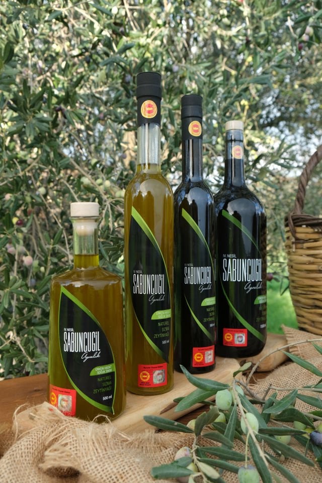 2025 - 2026 Ayvalık Erken Hasat Soğuk Sıkım Filtresiz Zeytinyağı - 500 ml Futura Fasetta Şişe